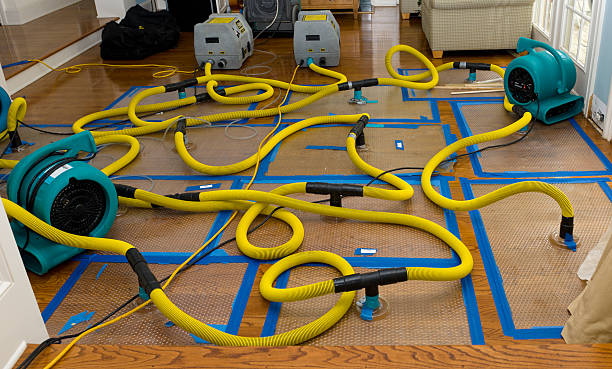 Professional Burst Pipe Water Damage technician working in Cotton Center, TX